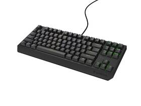 Klávesnice Genesis THOR 230, TKL, RGB, Outemu Brown, US layout černá

 obrázek produktu 3 z 8