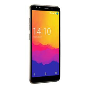 Mobilní telefon Prestigio Muze F5 zlatý

 obrázek produktu 4 z 9
