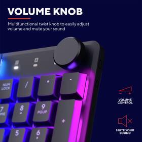 Klávesnice Trust GXT 866 Torix, US layout černá

 obrázek produktu 10 z 20