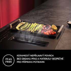 Gril plancha AEG A9HHPG11 černý

 obrázek produktu 5 z 6