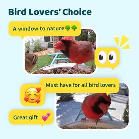 Ptačí krmítko Birdfy s kamerou a solárním panelem (AI doživotně zdarma) 

 obrázek produktu 9 z 9