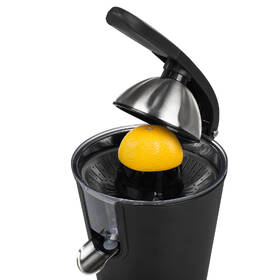 Lis na citrusy Princess 201853 černý

 obrázek produktu 9 z 14