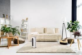 Teplovzdušný ventilátor Ardes 4P18 bílý

 obrázek produktu 5 z 5