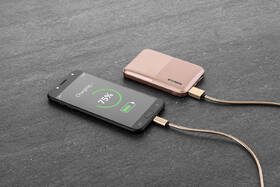 Powerbanka GoGEN 5000 mAh, metalická růžová

 obrázek produktu 5 z 6