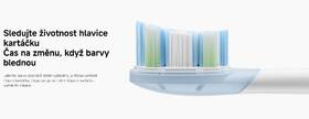 Náhradní hlavice Xiaomi MBS308 Oscillation Electric Toothbrush Replacement Heads (Clean) bílá

 obrázek produktu 4 z 5