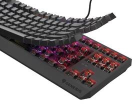 Klávesnice Genesis THOR 230, TKL, RGB, Outemu Brown, US layout černá

 obrázek produktu 8 z 8