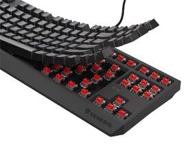 Klávesnice Genesis THOR 230, TKL, RGB, Outemu Red, CZ-SK layout černá

 obrázek produktu 13 z 19