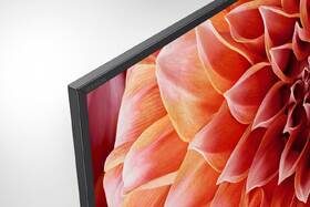 Televize Sony KD-75XF9005 
