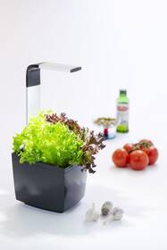 Chytrý květináč TREGREN T3 

 obrázek produktu 3 z 7
