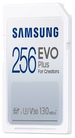 Paměťová karta Samsung 256GB UHS-I U1 (130R/30W) 

 obrázek produktu 2 z 4