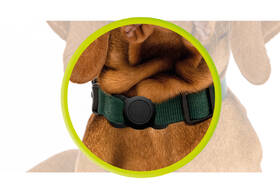 Pouzdro Mobile Origin AirTag Pet Collar černý

 obrázek produktu 7 z 10