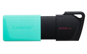 USB Flash Kingston DataTraveler Exodia M 256GB zelený

 obrázek produktu 2 z 5