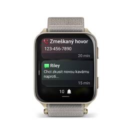 Chytré hodinky Garmin Venu X1 zlaté

 obrázek produktu 4 z 7