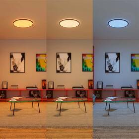 Stropní svítidlo Philips Smart LED WFB 32 W SuperSlim bílé

 obrázek produktu 2 z 6