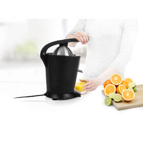 Lis na citrusy Princess 201853 černý

 obrázek produktu 14 z 14