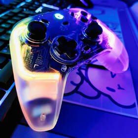 Gamepad GameSir T4 Kaleid RGB černý/průhledný

 obrázek produktu 7 z 12