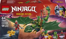 Stavebnice LEGO® NINJAGO® 71829 Lloydův zelený lesní drak 

 obrázek produktu 4 z 9