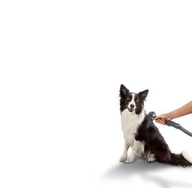 Tyčový vysavač UFESA U7 Digital Animal modrý

 obrázek produktu 9 z 18