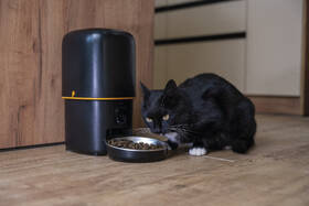 Chytré krmítko EMOS GoSmart Pet Care s kamerou, 4 l, Wi-Fi černé

 obrázek produktu 12 z 17