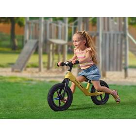 Odrážedlo Buddy Toys BPB 2516 žluté

 obrázek produktu 7 z 7