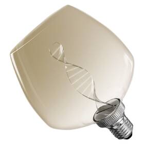 Žárovka LED EMOS DECO S123 "DNA", 3,5W, 130 lm, E27, teplá bílá+ 

 obrázek produktu 2 z 6
