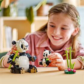 Stavebnice LEGO® Creator 3 v 1 31165 Divoká zvířata: Pandí rodinka 

 obrázek produktu 6 z 7