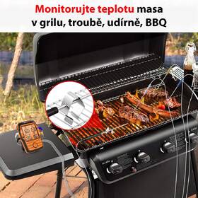 Teploměr do masa ThermoPro TP-27B oranžový

 obrázek produktu 1 z 7