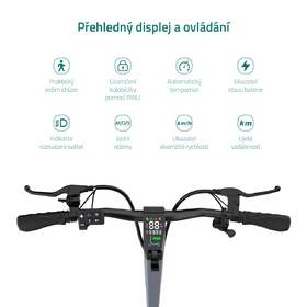 Elektrická koloběžka LAMAX eTank SA70 černá

 obrázek produktu 5 z 8