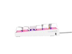 Klávesnice Genesis THOR 303 TKL RGB, Outemu Peach Silent, US layout bílá

 obrázek produktu 4 z 7