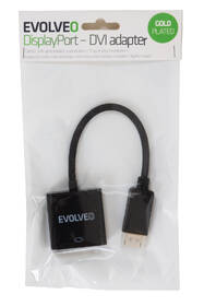 Redukce Evolveo DisplayPort/DVI černá

 obrázek produktu 2 z 2