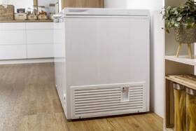 Mraznička Gorenje FH302CW FreezeProtect -15°C bílá

 obrázek produktu 10 z 16
