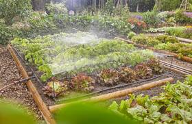Sada pro zavlažování Gardena MicroDrip System 13450-20 

 obrázek produktu 4 z 5