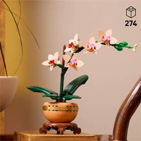 Stavebnice LEGO® Botanicals 10343 Miniaturní orchidej 

 obrázek produktu 7 z 9