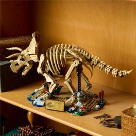 Stavebnice LEGO® Jurassic World  77985 Dinosauří fosilie: Triceratops 

 obrázek produktu 6 z 9