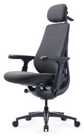 Ergonomická židle LiberNovo Maxis Electric Graphite 52 cm grafitová

 obrázek produktu 2 z 9