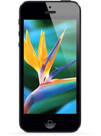 Mobilní telefon Apple iPhone 5 32GB bílý

 obrázek produktu 28 z 37