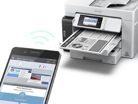 Tiskárna multifunkční Epson EcoTank M15180 bílá

 obrázek produktu 8 z 9