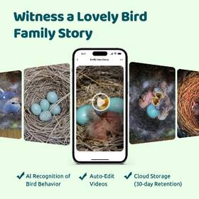Ptačí budka Birdfy Ebony s kamerou (AI předplatné) 

 obrázek produktu 7 z 8