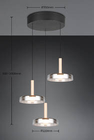Závěsné svítidlo TRIO CELESTE, LED černé

 obrázek produktu 6 z 6