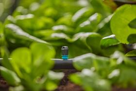 Zavlažovač Gardena MicroDrip System 13318-20 (5 ks) 

 obrázek produktu 4 z 5