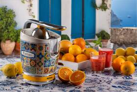 Lis na citrusy Ariete 413/PO vícebarevný

 obrázek produktu 9 z 9
