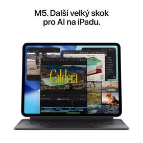 Dotykový tablet Apple iPad Pro 13" M5 Wi‑Fi + Cellular 2 TB standardní sklo - stříbrný 

 obrázek produktu 3 z 8