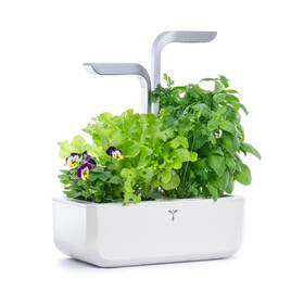 Chytrý květináč Véritable SMART bílý

 obrázek produktu 3 z 16