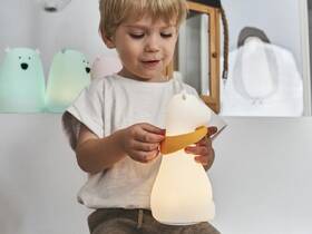 Dětská LED lampička Rabbit & Friends žirafa bílá

 obrázek produktu 4 z 4