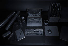 Klávesnice Razer BlackWidow Lite (Orange Switch), US černá

 obrázek produktu 2 z 6