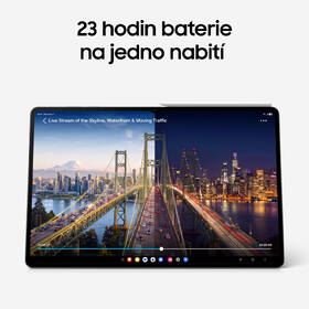Dotykový tablet Samsung Galaxy Tab S12 Ultra 12 GB / 512 GB + dotykové pero šedý

 obrázek produktu 8 z 24