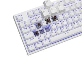 Klávesnice Genesis THOR 404 TKL, RGB, US layout, Kailh Box Brown V2 bílá

 obrázek produktu 11 z 12