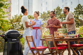 Gril zahradní plynový Weber Q 2800N+ Premium Stand černý

 obrázek produktu 6 z 8