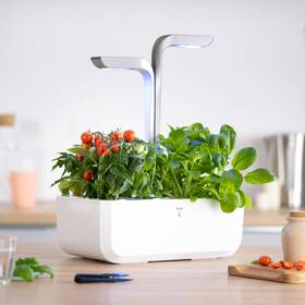 Chytrý květináč Véritable SMART bílý

 obrázek produktu 8 z 16