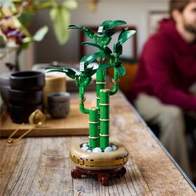 Stavebnice LEGO® Botanicals 10344 Bambus štěstí 

 obrázek produktu 6 z 9
